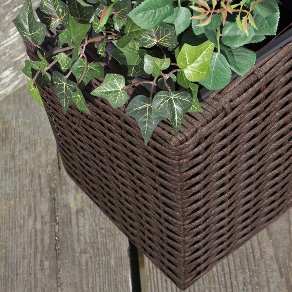 Brown Wicker planter with trellis